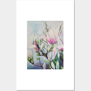 Watercolour painting of magnolias Posters and Art